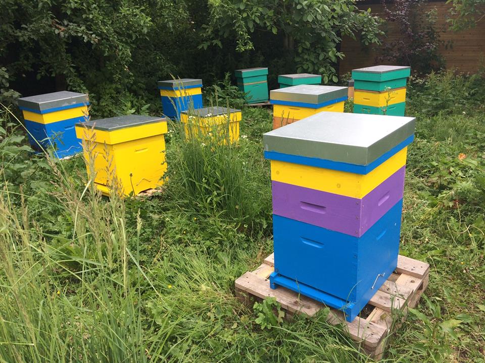 Les M&ucirc;res ont des abeilles - Reportage RPL Radio Arnaud DARRAS